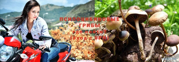гидропоника Алексин