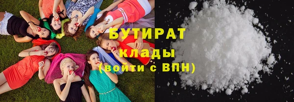 PSILOCYBIN Алзамай