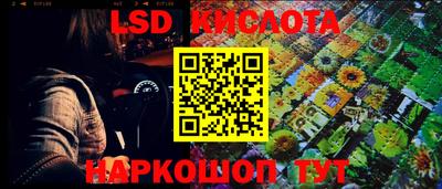 спайс Новодвинск