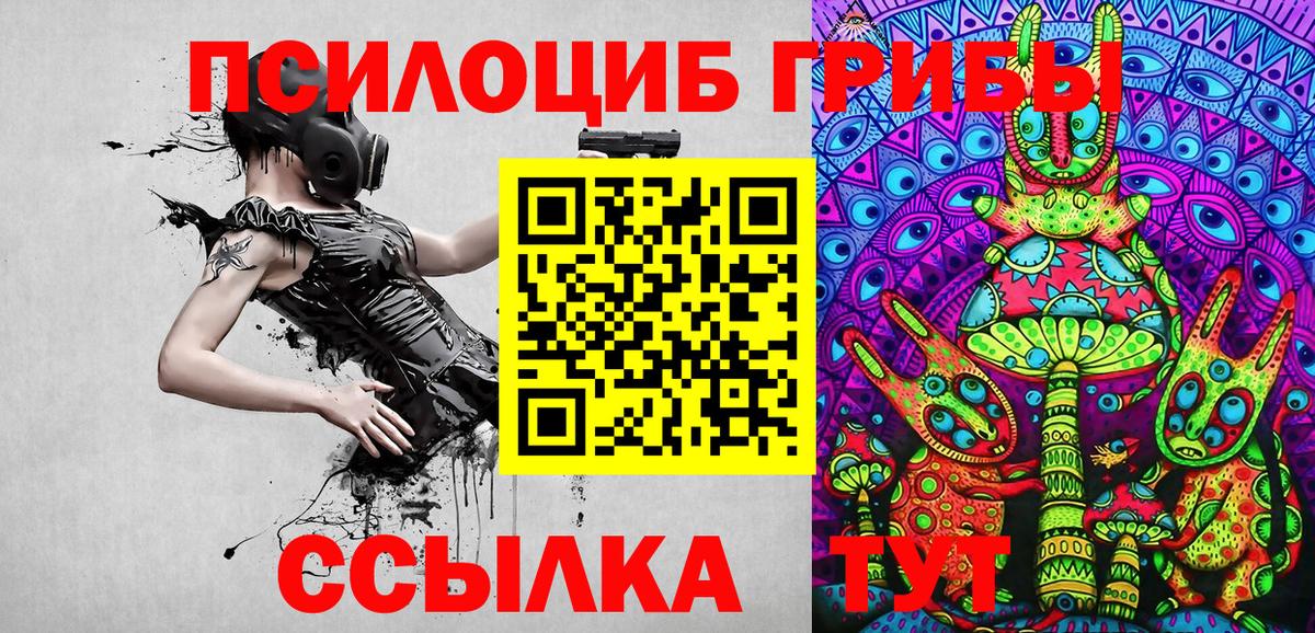 Псилоцибиновые грибы GOLDEN TEACHER Волгоград