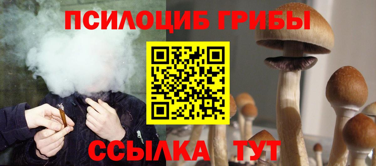 Галлюциногенные грибы мухоморы  Вход с VPN  Волгоград  Псилоцибиновые грибы Psilocybe 