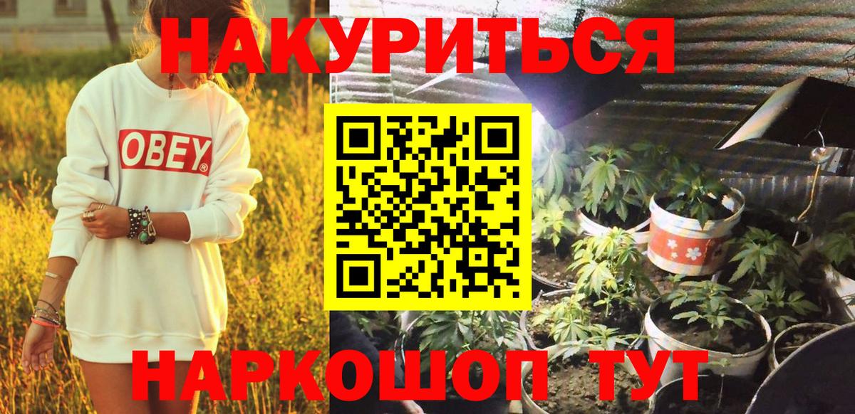 Бошки марихуана Amnesia Волгоград